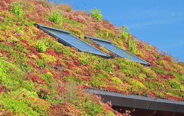 Cardinham living roof systems